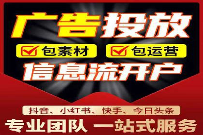 SEM代理操作技巧：成功案例揭秘